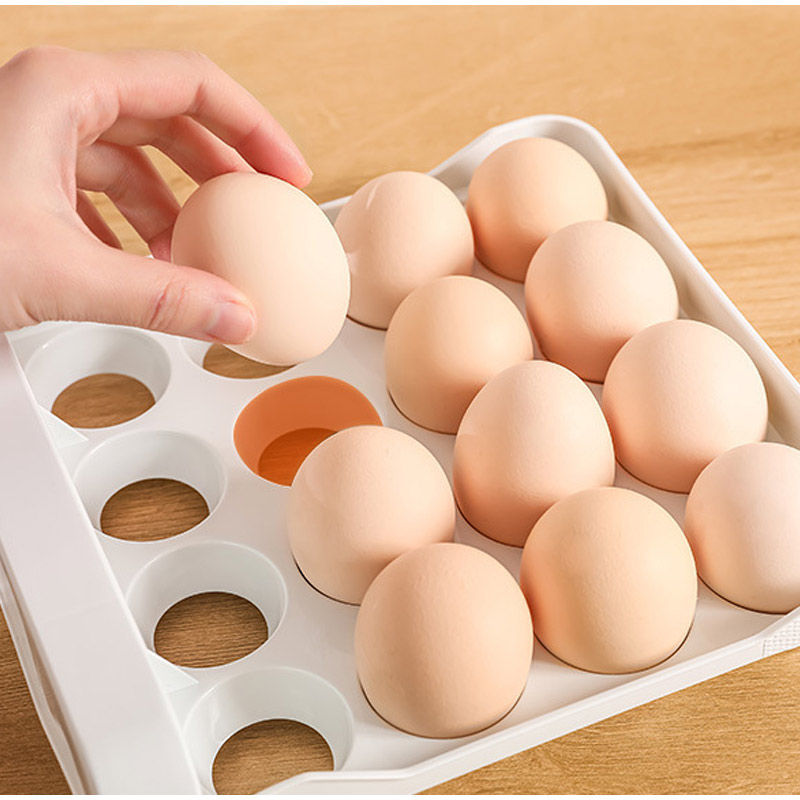 صندوق تخزين البيض ذو الطبقتين  - مراجعة Egg Storage Holder وسعره